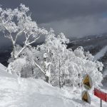 japow_11
