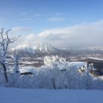 japow_15