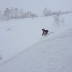 japow_22